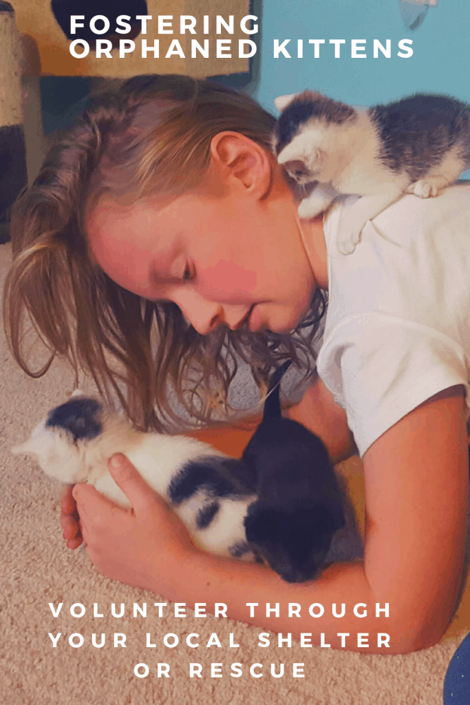 Little girl playing with tiny kittens