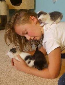 Little girl playing with fostered kittens