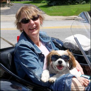 Lady and dog with sunglasses in a convertible. Dogs for seniors help to keep people active and enjoying life.