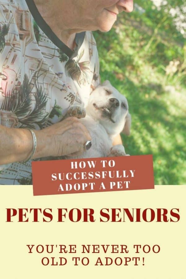 No matter what your age you should be able to adopt a pet. Learn how to counter objections and find the perfect pet for you.