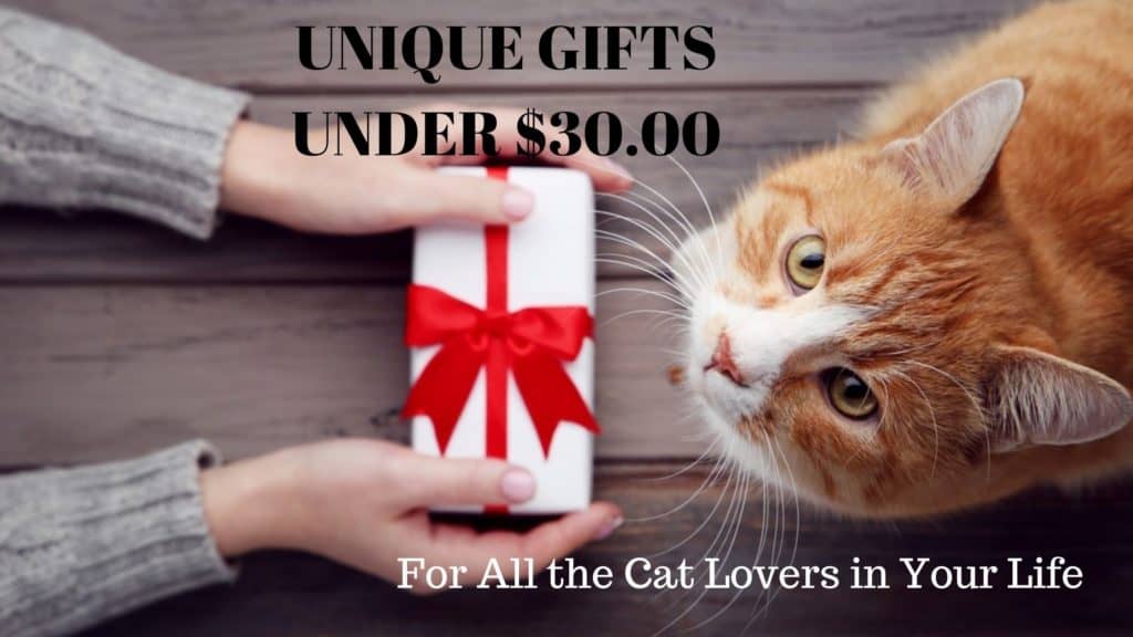 Cat Gift Blog Header