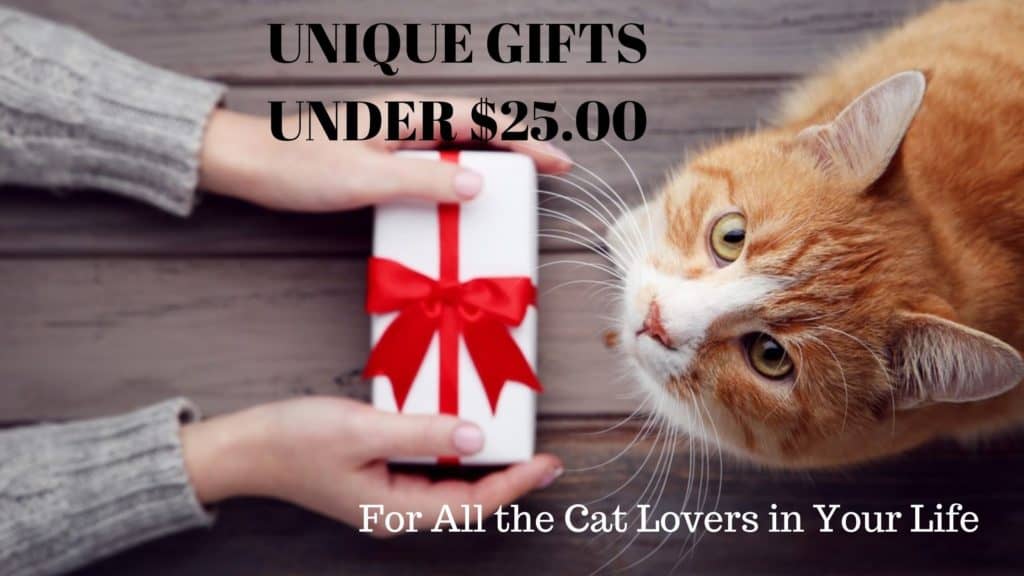 inexpensive gifts for cat lovers