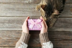 Female hands holding gift box on grey wooden background