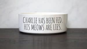 white ceramic bowl with silly saying