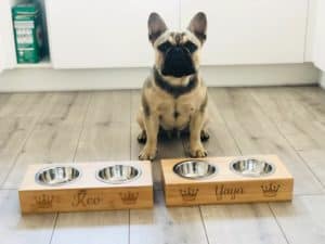 French Bulldog sitting in front of personalized dog bowls
